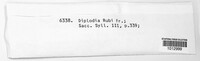 Diplodia rubi image